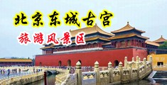 操机巴在线观看中国北京-东城古宫旅游风景区